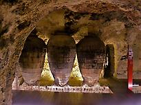 Historical Cellar in Requena