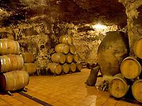 Wine cellar